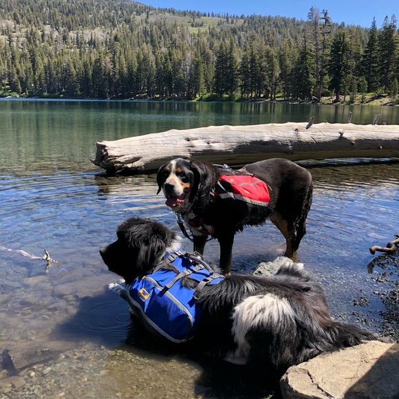 Meet your Posher, Jennifer - Picture 11 of 12